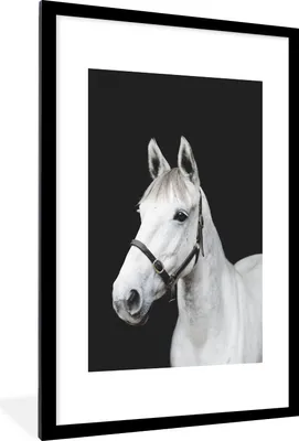 Produktbild von MuchoWow® MuchoWow® Gerahmtes Poster Pferd - Halfter - Weiß 60x90 cm - Poster mit zchwarzem Bilderrahmen - Dekoration - Wandposter Wohnzimmer - Hochwertig
