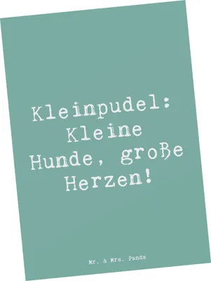Produktbild von Mr. & Mrs. Panda Postkarte Spruch Kleinpudel Liebe - Meeresbrise - Geschenk, Hunderasse, Hunderassen Pflege, Beschreibung, einzelkarte, Eigenschaften, Fotokarte