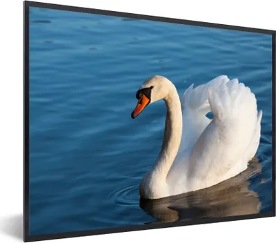 Produktbild von MuchoWow® Gerahmtes Poster Schwan - Wasser - Vogel - Weiß 80x60 cm - Poster mit Schwarzem Bilderrahmen Wandposter Rahmen Foto Bilder - Schwarzem - Mit Gestell