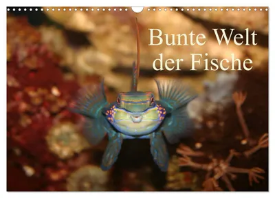 Produktbild von Kalender 2027 · US-Version · Bunte Fischwelt (Wandkalender 2027, Format 17" x 12", Querformat), CALVENDO, 12-monatiger Wandkalender