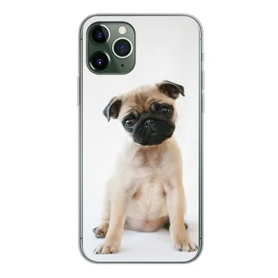 Produktbild von MuchoWow® Handyhülle Schutzhülle Hülle für iPhone 11 Pro Hund - Haustiere - Porträt Silikon Softcase Handy Hülle - Handy