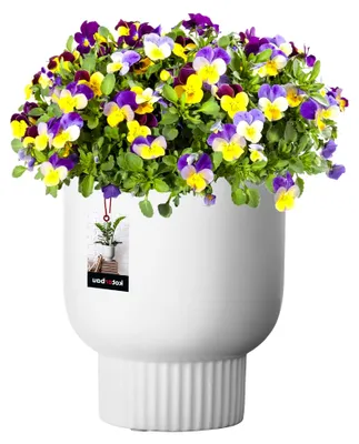Produktbild von ® Keramik Blumentopf ⌀ 12 cm Höhe: 16,5 cm Weiß Blumen Übertopf Blumentöpfe Keramik Blumentopf Keramik Blumenübertopf Keramik Übertöpfe für Zimmerpflanzen Übertopf weiß