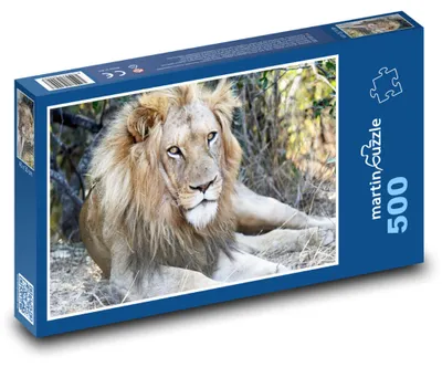 Obrázok produktu pre martinpuzzle - Puzzle 500 - Lev - král zvierat, safari