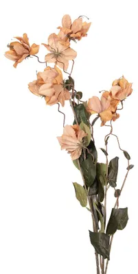 Produktbild von Clayre & Eef Kunstblume 120 cm Braun Kunststoff