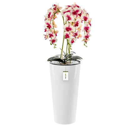 A tall white planter with a cascading orchid plant inside, set against a white background.