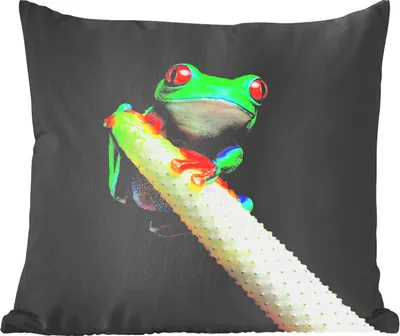 Produktbild von MuchoWow® Zierkissen Sofakissen Wohnzimmer Dekokissen 45x45 cm Frosch - Tier - Pflanze - Schlafpolster - Polster für das Sofa