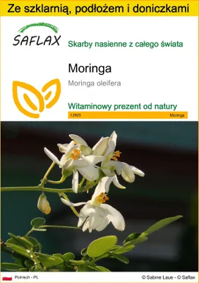 Zdjęcie produktu dla SAFLAX - Zestaw do uprawy - Moringa - 10 Nasiona - Z mini szklarnią, podłożem uprawowym i 2 doniczkami - Moringa oleifera