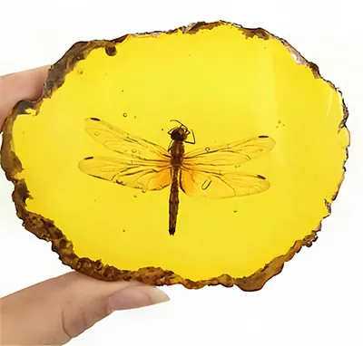 Immagine prodotto di Libellula in ambra, imitazione dell'ambra con insetto realistico, decorazione con insetto incastrato, perfetta per collezionisti e per l'apprendimento