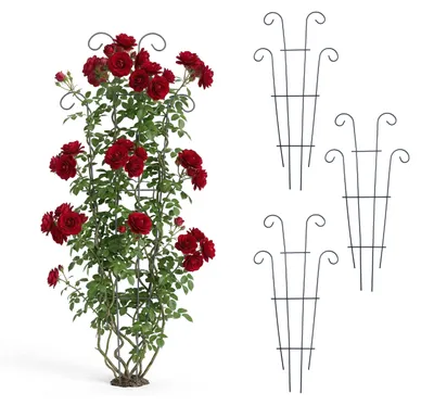Image de Treillis Relaxdays, lot de 4, H x l : 60 x 30 cm, métal, support pour plantes grimpantes, plantes de jardin et en pot, noir
