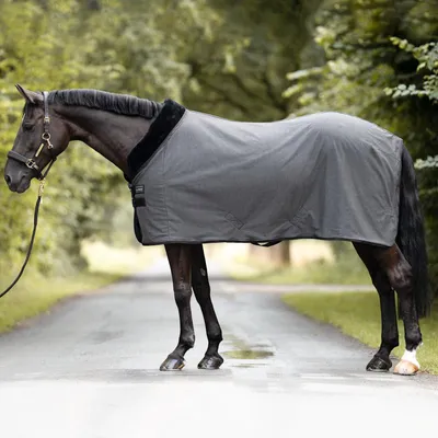 Obrázek produktu pro Kavalkade Elegance transportní / potní koberec
