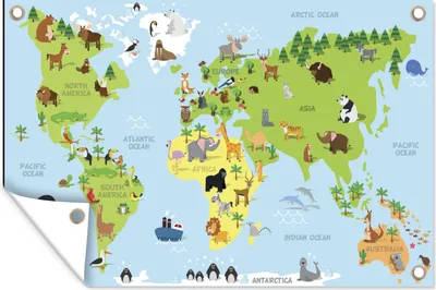 Produktbild von MuchoWow®