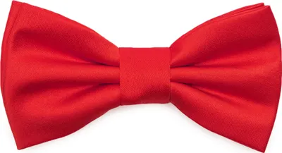 Produktbild von Ladeheid Kinder Krawatte für Jungen - Eleganter matter Look TKM (31cmx4cm)