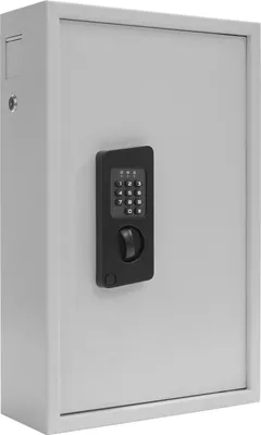 Produktbild von Profirst Nestro 100 Schlüsseltresor Elektronikschloss
