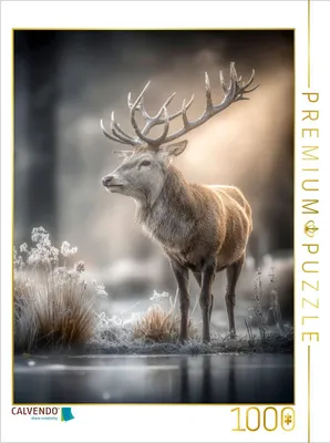 Produktbild von CALVENDO Puzzle Rothirsch | 1000 Teile Lege-Größe 64x48cm Foto-Puzzle für glückliche Stunden