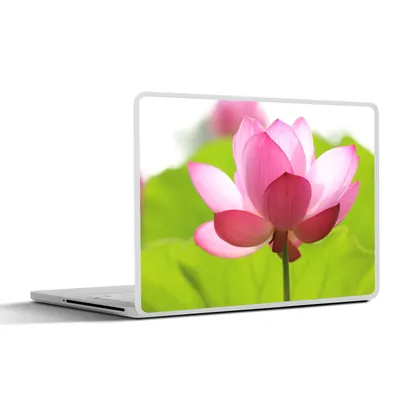 Produktbild von MuchoWow® Laptop Aufkleber Sticker Cover Blumen - Blätter - Rosa 32.5x23.5 cm - Sticker für Laptop - Selbstklebend