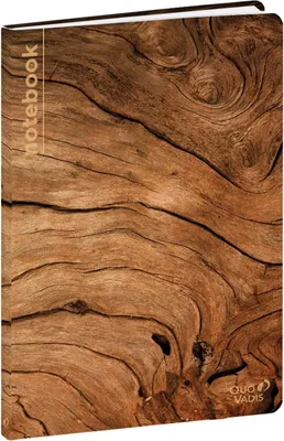 Produktbild von Geliniertes Notizbuch recycelt 24x16cm
