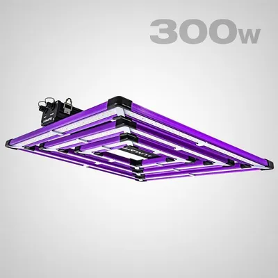 Produktbild von Lumatek ATS PRO 300W LED