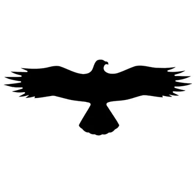 Image de SafetyMarking® 21.5874 SafetyMarking® Hinweisaufkleber - Symbol: Bussard