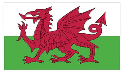 Produktbild von Printwear - Fahne, Polyester, Wales LT3200 (150 cm x 90 cm) (Grün/Weiß/Rot)