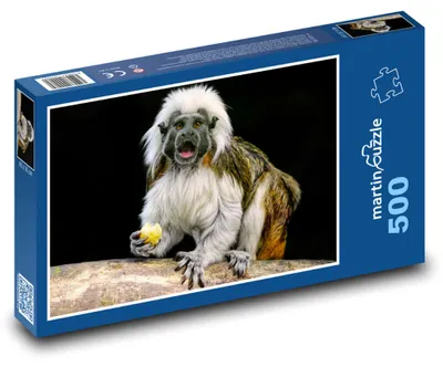 Zdjęcie produktu dla martinpuzzle - Puzzle 500 - Tamaryny