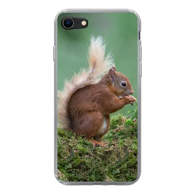 Produktbild von MuchoWow® Handyhülle Schutzhülle Hülle für iPhone SE 2020 Eichhörnchen - Wald - Moos Silikon Softcase Handy Hülle - Kartenbesitzer