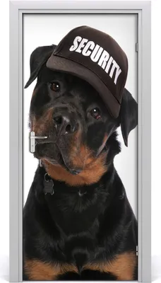 Produktbild von Tulup Türaufkleber 95x205 cm Dekorative Aufkleber Selbstklebend Wasserdichte Tapete Abnehmbar Schlafzimmer Wohnzimmer Wohnkultur - Rottweiler