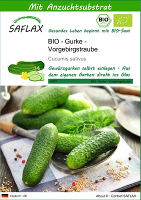 Produktbild von SAFLAX - BIO - Gurke - Vorgebirgstraube - Cucumis sativus - 15 Samen - Mit keimfreiem Anzuchtsubstrat