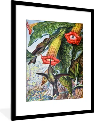 Produktbild von MuchoWow® MuchoWow® Gerahmtes Poster Antiker Vogel Druck Kolibri 60x80 cm - Poster mit zchwarzem Bilderrahmen - Wohnzimmer - Dekorationen - Prämie