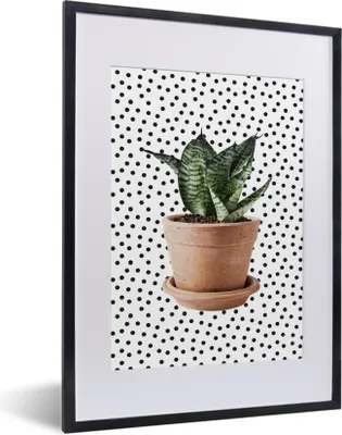 Produktbild von MuchoWow® MuchoWow® Gerahmtes Poster Zimmerpflanze - Blumentopf - Dots 30x40 cm - Poster mit zchwarzem Bilderrahmen - Wandposter Schlafzimmer