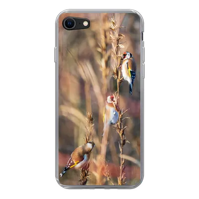 Produktbild von MuchoWow® Handyhülle Schutzhülle Hülle für iPhone 7 Vögel - Äste - Wald Silikon Softcase Handy Hülle - Kartenhalter