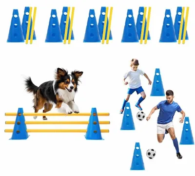 Zdjęcie produktu dla Zestaw do agility, 5 elementów - Regulowane przeszkody - Dla psów/koników - Treningowe przeszkody - Zestaw przeszkód - Idealny do treningu koordynacji - Zestaw przeszkód