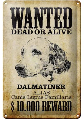 Produktbild von Blechschild Hund 20x30cm wanted dead Dalmatiner Schild