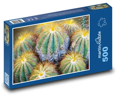 Produktbild von Puzzle 500 Exotische Kakteenwelt - martinpuzzle