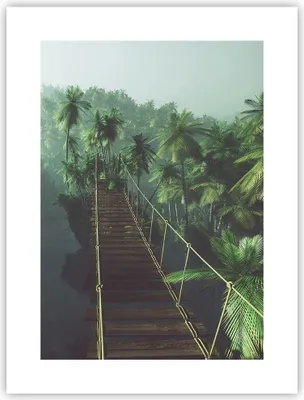 Produktbild von Poster - Poster ohne Rahmen - Dschungel Palme Brücke - 30x40 cm - Wand Bild - Wanddeko - Wandbilder - Kunstposter - Wandposter - Bilder - Kunstdruck - Wanddekoration - Wandbild - P2XPA30x40-3674