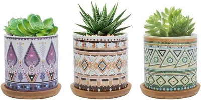 Produktbild von Keramische Pflanzentöpfe 7,5 cm, bunt, für drinnen und draußen, 3er Set