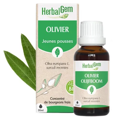 Immagine prodotto di Herbalgem - Germoglio d'olivo - Biologico - 30 ml