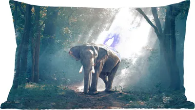 Produktbild von MuchoWow® Zierkissen Sofakissen Wohnzimmer Dekokissen 50x30 cm Elefant - Wald - Sonne - Wohnzimmerdekoration - Polster mit Photo