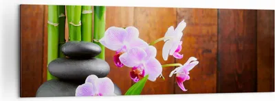 Produktbild von Bild auf Leinwand - Leinwandbild - Bambus Dekoration Blume Orchidee - 160x50cm - Wand Bild - Wanddeko - Leinwanddruck - Bilder - Kunstdruck - Leinwand bilder - Wandkunst - AB160x50-2167