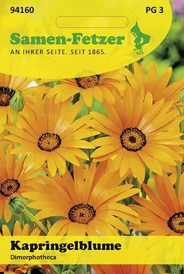 Produktbild von Kapringelblume Dimorphotheca