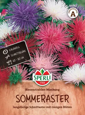Produktbild von SPERLI Asternsamen Riesenstrahlen-Mischung 100 Pflanzen