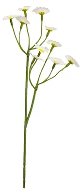 Produktbild von Künstliche weiße Seidengänseblümchen für die Heimdekoration im nordisch-japanischen Stil. Vielseitig einsetzbar, mit flexiblen Stielen, pflegeleicht und langanhaltend frisch.