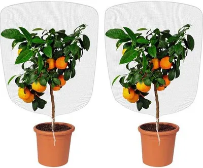 Produktbild von Unyqoos® feinmaschiges Insekten- und Vogelschutznetz – Polyethylen-Gartennetz 1,2 mm mit Zugkordel, wetterfest, für Obstbäume, Gemüse & Gewächshaus