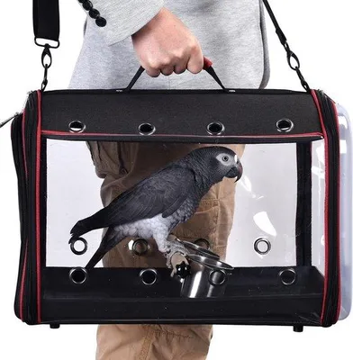 Immagine prodotto di Ibenzoa® Trasportino leggero per uccelli, 1,5 kg – trasportabile a spalla o a mano, realizzato in polietilene spesso, con ventilazione su 4 lati, tetto panoramico e asta in legno