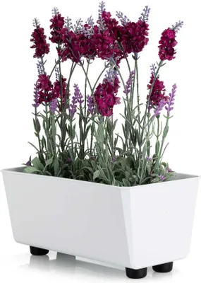 Image de HowHomely | Jardinière - Salvia - 28,5x17 cm - Blanc - Design minimaliste - Résistant aux intempéries et facile d'entretien