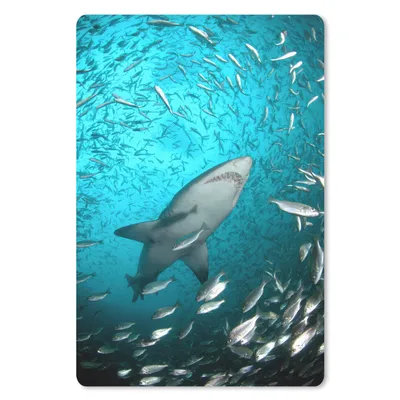Produktbild von MuchoWow® Mauspad Mousepad Ein Hai unter Fischen 18x27 cm - Mousepads - Maus Mat - Pad - Mausunterlage