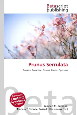 Produktbild von Prunus Serrulata