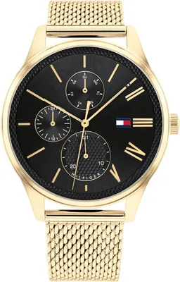 Image de Tommy Hilfiger Damon 1791848 Montre pour homme