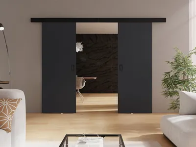 Obrázek produktu pro Posuvné dvoukřídlé interiérové dveře SANITA 3 - 132 cm, grafitové