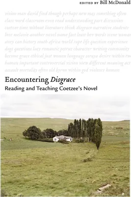 Produktbild von Encountering Disgrace