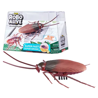 Image de Robo alive cafard